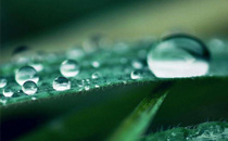 白露節氣后熱不熱2017 白露節氣的氣候特征