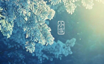 2017小雪節氣出生的雞寶寶取名叫什么好 2017小雪節氣出生的孩子名字大全