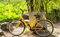 摩拜單車(chē)可以同時(shí)租兩輛嗎 摩拜單車(chē)一個(gè)賬號(hào)能租幾輛車(chē)
