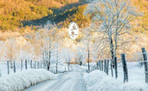 2017小雪節氣會降溫嗎 2017小雪節氣溫度大概是多少度
