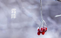 2017霜降會下雪嗎 2017霜降前后天氣怎么樣