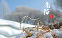 霜降當天應該吃什么 霜降當天的講究和禁忌