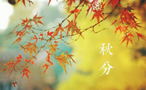 2017立秋會下雨嗎 立秋下雨好不好有什么說法