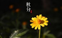 2017年什么時候秋分 2017年秋分時間怎么計算
