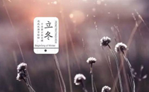 立冬前后可以釣鯉魚嗎 立冬前后釣鯉魚技巧