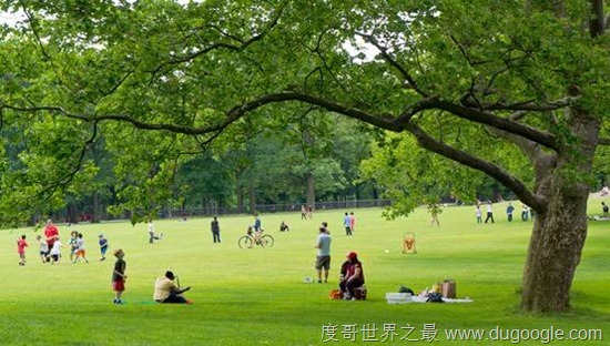 最早面向大眾的現代城市公園, 紐約中央公園