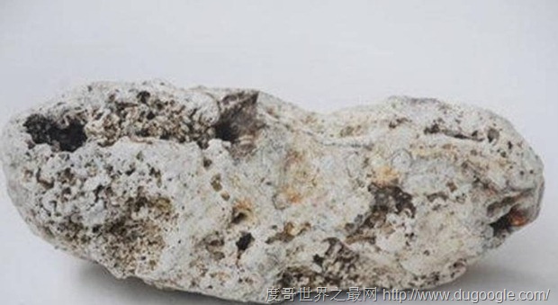 世上最值錢的糞便 龍涎香賣了500萬
