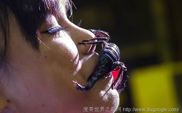 蛇蝎美人蝎后坎查納，世界上最毒辣的女人