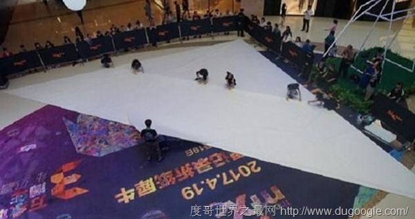 河南成功挑戰最大的折紙犀牛呼吁保護瀕危物種