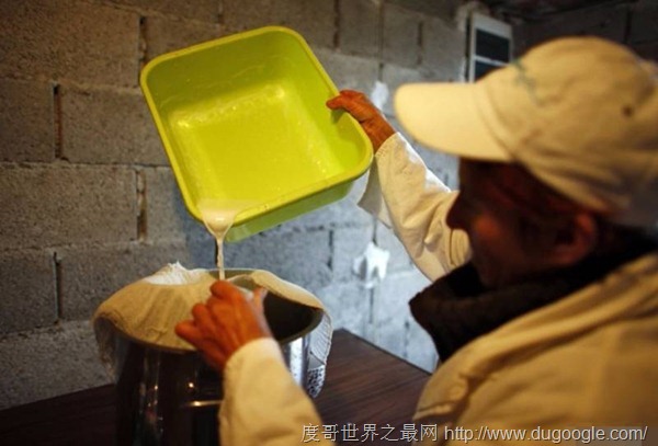 一公斤就要三萬多元全世界最貴的驢奶起司