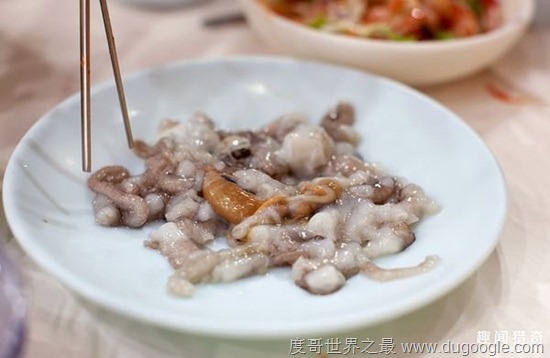 十大黑暗料理你敢吃嗎?盤點世界各地殘忍的活吃料理