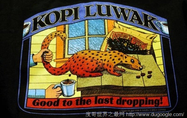 世界最昂貴的咖啡貓屎咖啡，貓的排泄物每磅1000美元