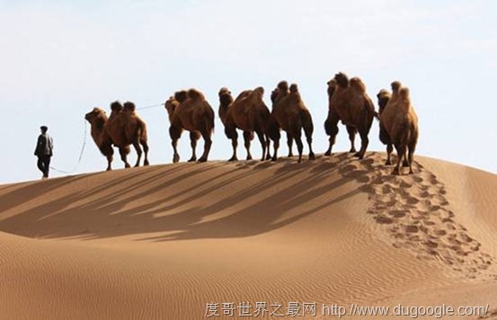 世界上最古老的中西貿易通道,絲綢之路