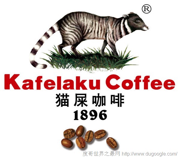 世界最昂貴的咖啡貓屎咖啡，貓的排泄物每磅1000美元