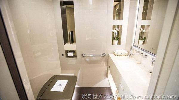 全球最貴私人飛機造價20億 每小時租金18萬
