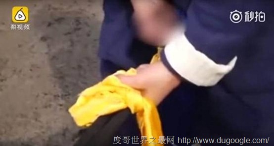 最屌的男人,山東男子葉偉睪丸力大無窮拖7車