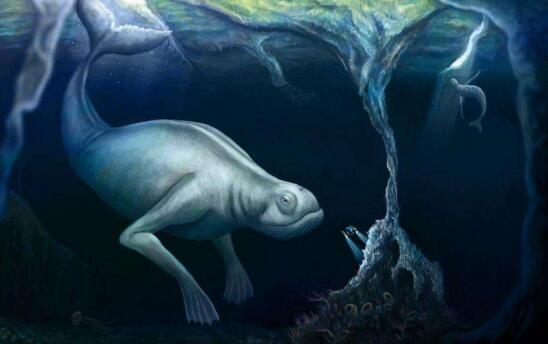 南極未知生物ningen，疑似日本人造人(高達30米)