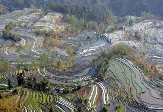 中國(guó)四大高原，世界上海拔最高的高原(青藏高原)