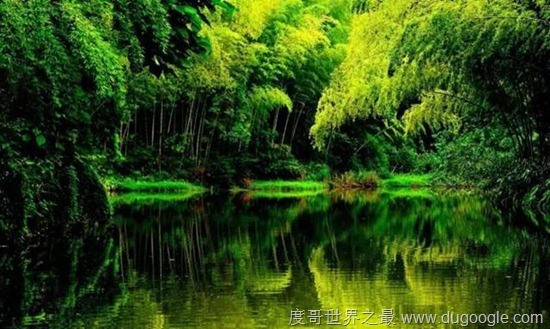 中國(guó)十大人少景好的洗肺地 中國(guó)十大空氣最清新的旅游勝地