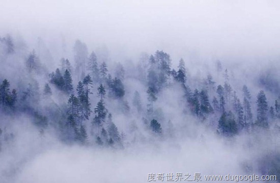 中國(guó)十大人少景好的洗肺地 中國(guó)十大空氣最清新的旅游勝地
