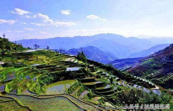 中國最美的六大濕地公園,中國國家濕地公園列表大全