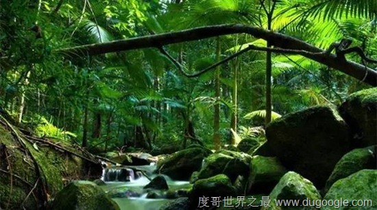 中國(guó)十大人少景好的洗肺地 中國(guó)十大空氣最清新的旅游勝地