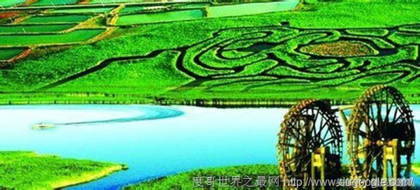 中國最美的六大濕地公園,中國國家濕地公園列表大全