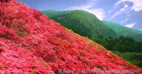 中國(guó)人口最多的八個(gè)省會(huì)城市