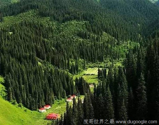 中國(guó)十大人少景好的洗肺地 中國(guó)十大空氣最清新的旅游勝地