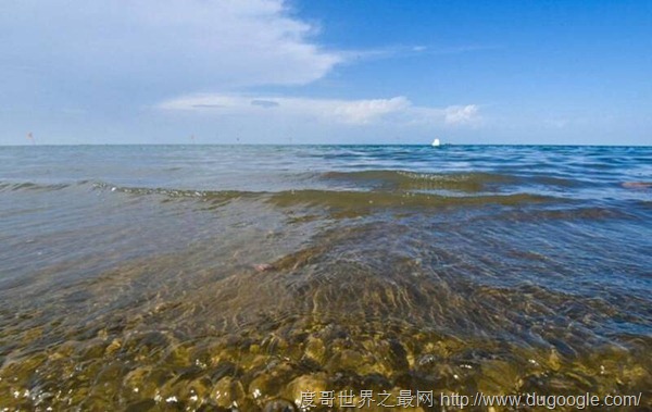 國內最大淡水湖，博斯騰湖是中國最大的有機魚生產水域
