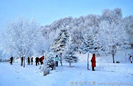 中國冬天最適合旅行的5個地方,首選大理無量山櫻花谷