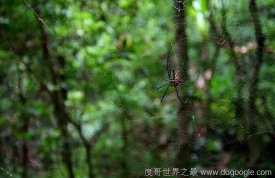 中國(guó)十大人少景好的洗肺地 中國(guó)十大空氣最清新的旅游勝地