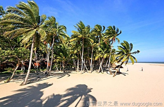中國冬天最適合旅行的5個地方,首選大理無量山櫻花谷