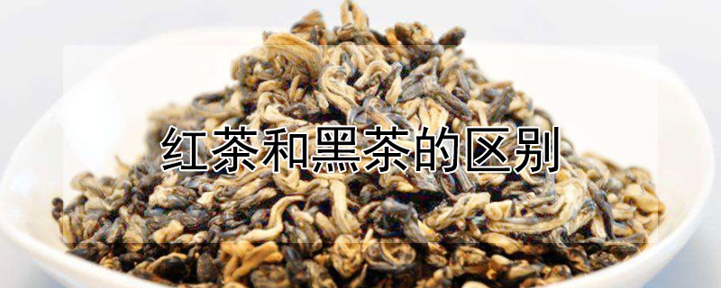 紅茶和黑茶的區別