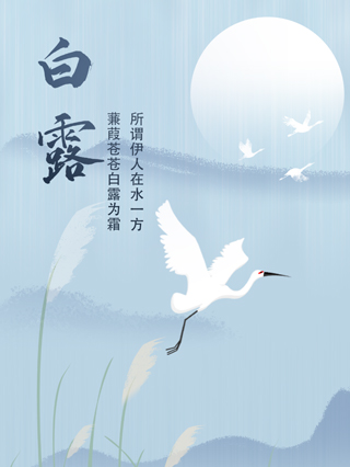 白露
