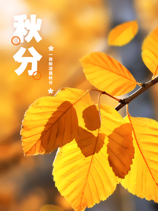 秋分